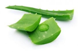 �leo Vegetal De Babosa - Com 1 Litro