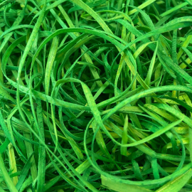 Flores Secas - Palha Colorida - para Aromatizar - Verde - 70g