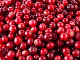 Suco Natural Concentrado Cranberry - 65 Brix - 500ml