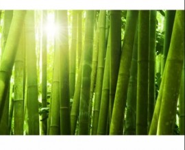 Essncia Bamboo Mm Cosmtica - 50ml - 