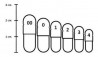 Imagem 6