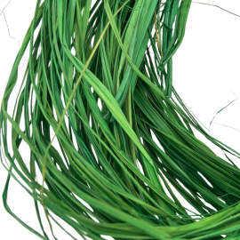 Flores Secas - Palha da Costa - para Aromatizar - VERDE - 20g
